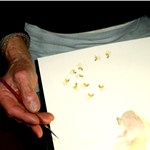 p16qltnk8412qv1lm7hmg105l18qr4